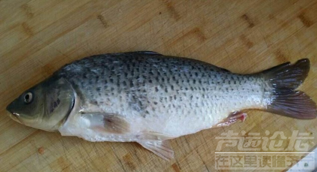 菜市场常见的鱼 菜市场买鱼时，明白人会做这3个“小动作”，保准鱼新鲜又好吃-3.jpg