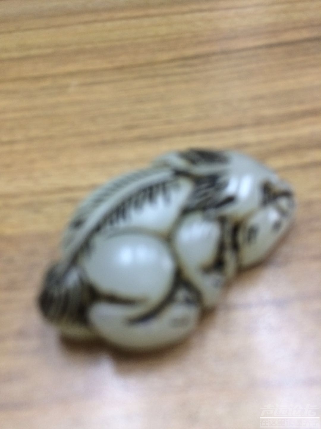微信图片_20190422125513.jpg