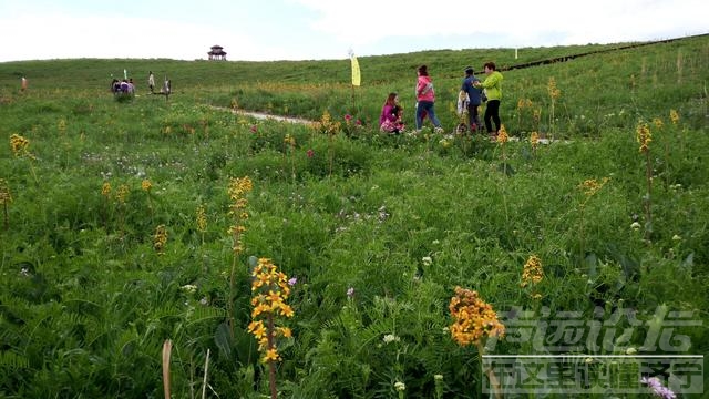 芍药之乡 中国野生芍药花之乡自驾游记-2.jpg