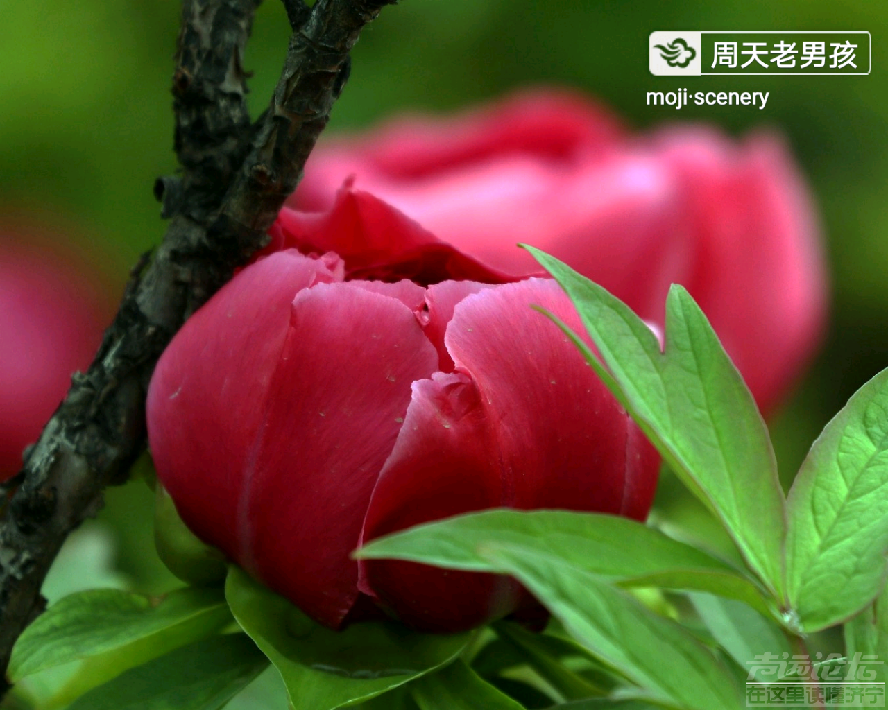 20190505_564876_1557012304136.png