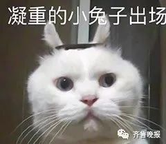 情侣3年2次裸辞旅游 爸妈气坏：看中的婚房涨150万-3.jpg