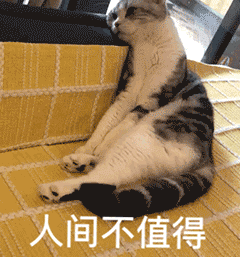 情侣3年2次裸辞旅游 爸妈气坏：看中的婚房涨150万-9.gif