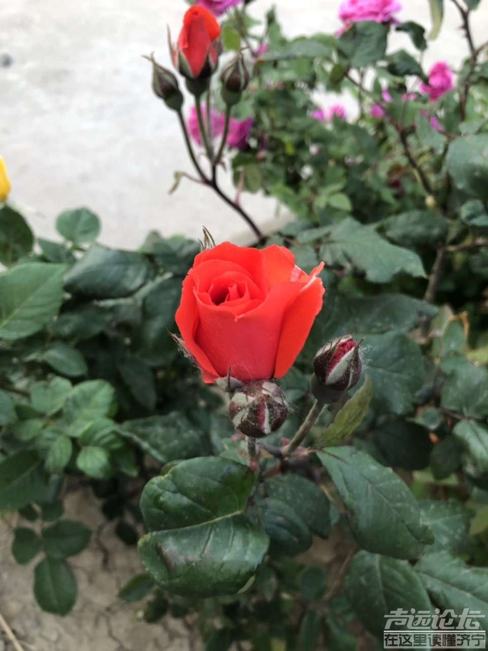 20190506_564876_1557132517685.jpg