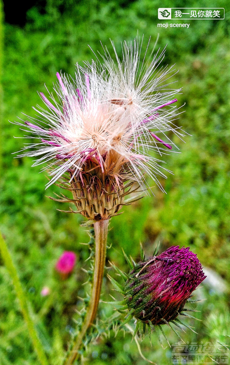 20190507_564876_1557192649986.png