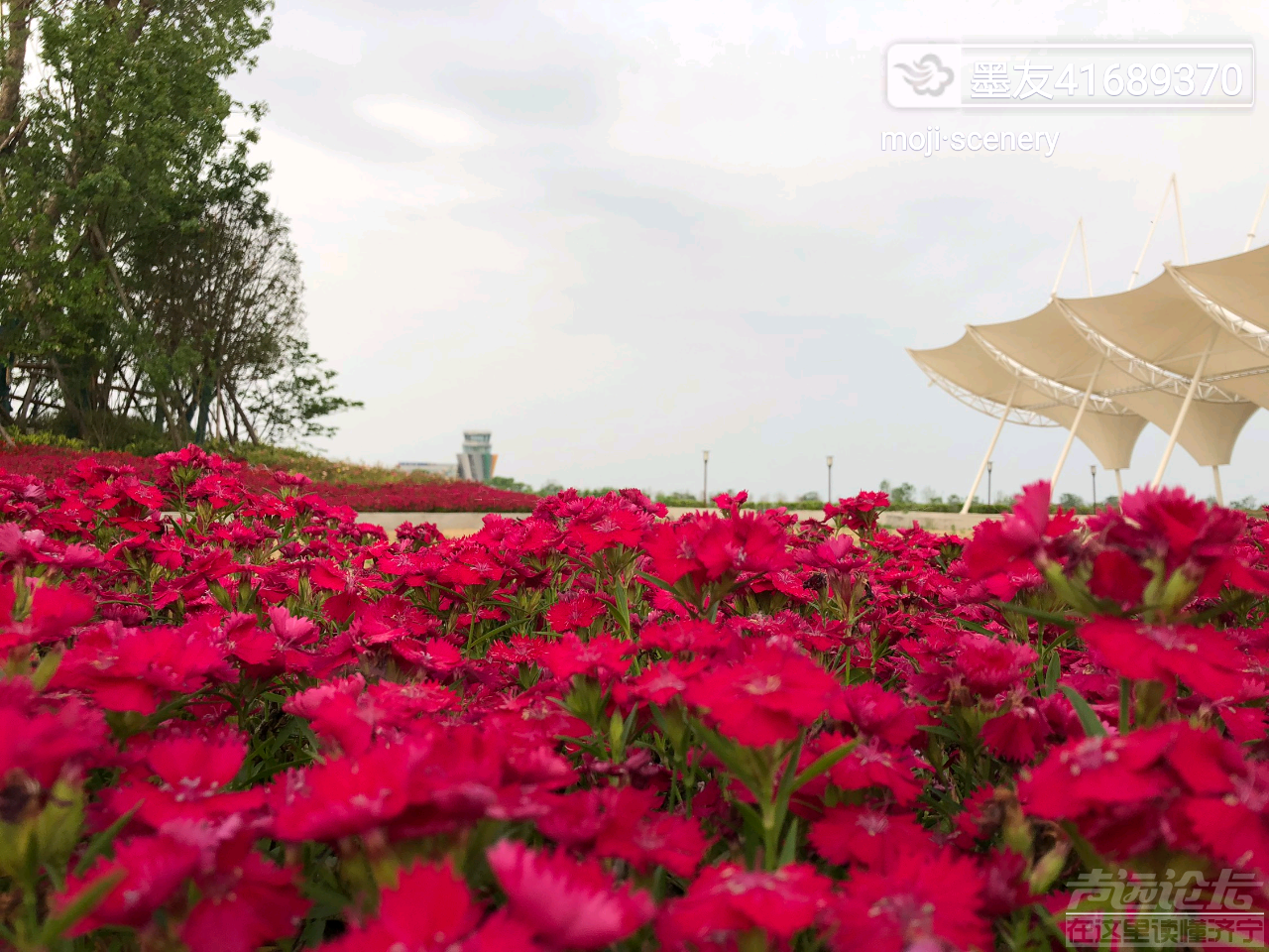 20190507_564876_1557192664475.png