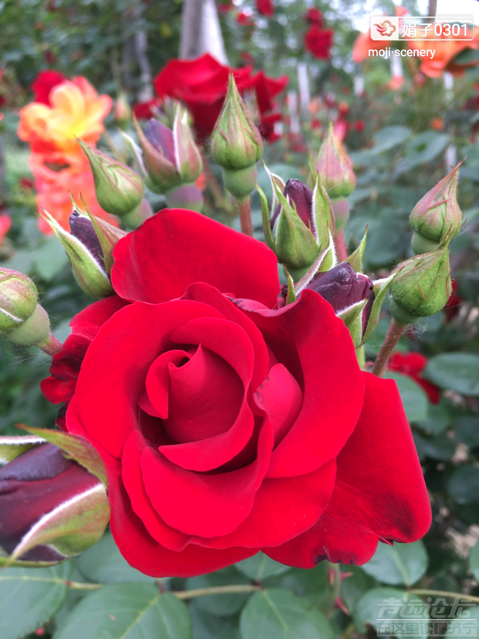 20190507_564876_1557192677012.png