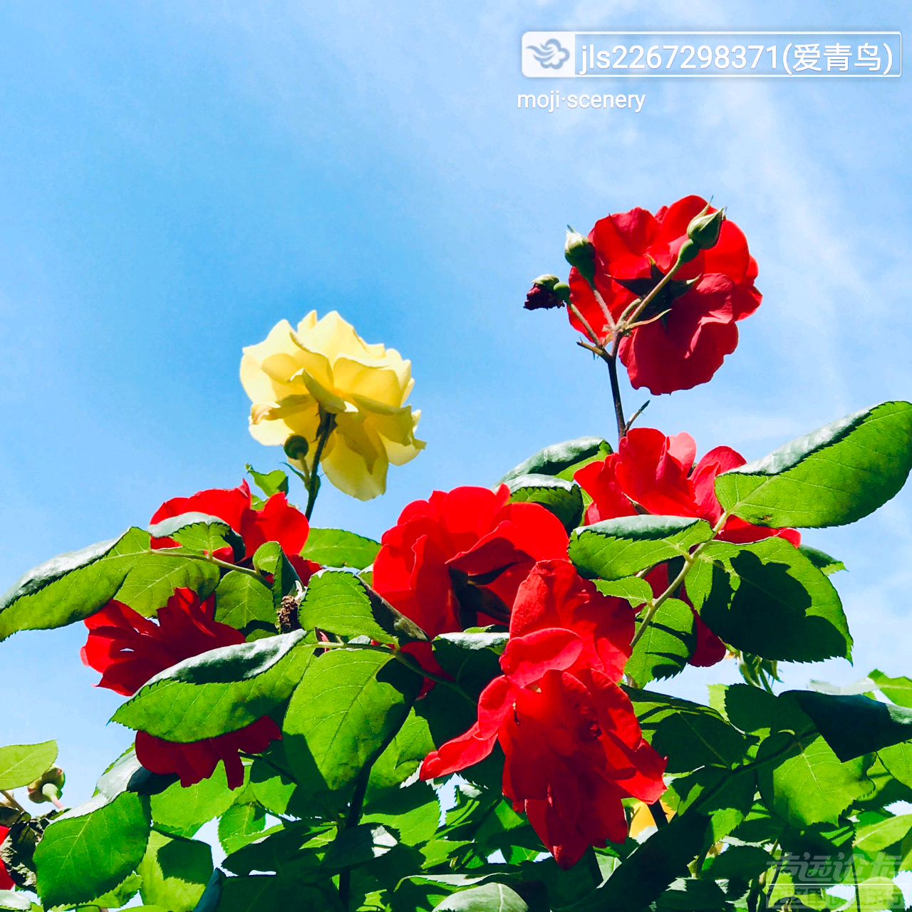 20190507_564876_1557192704348.png