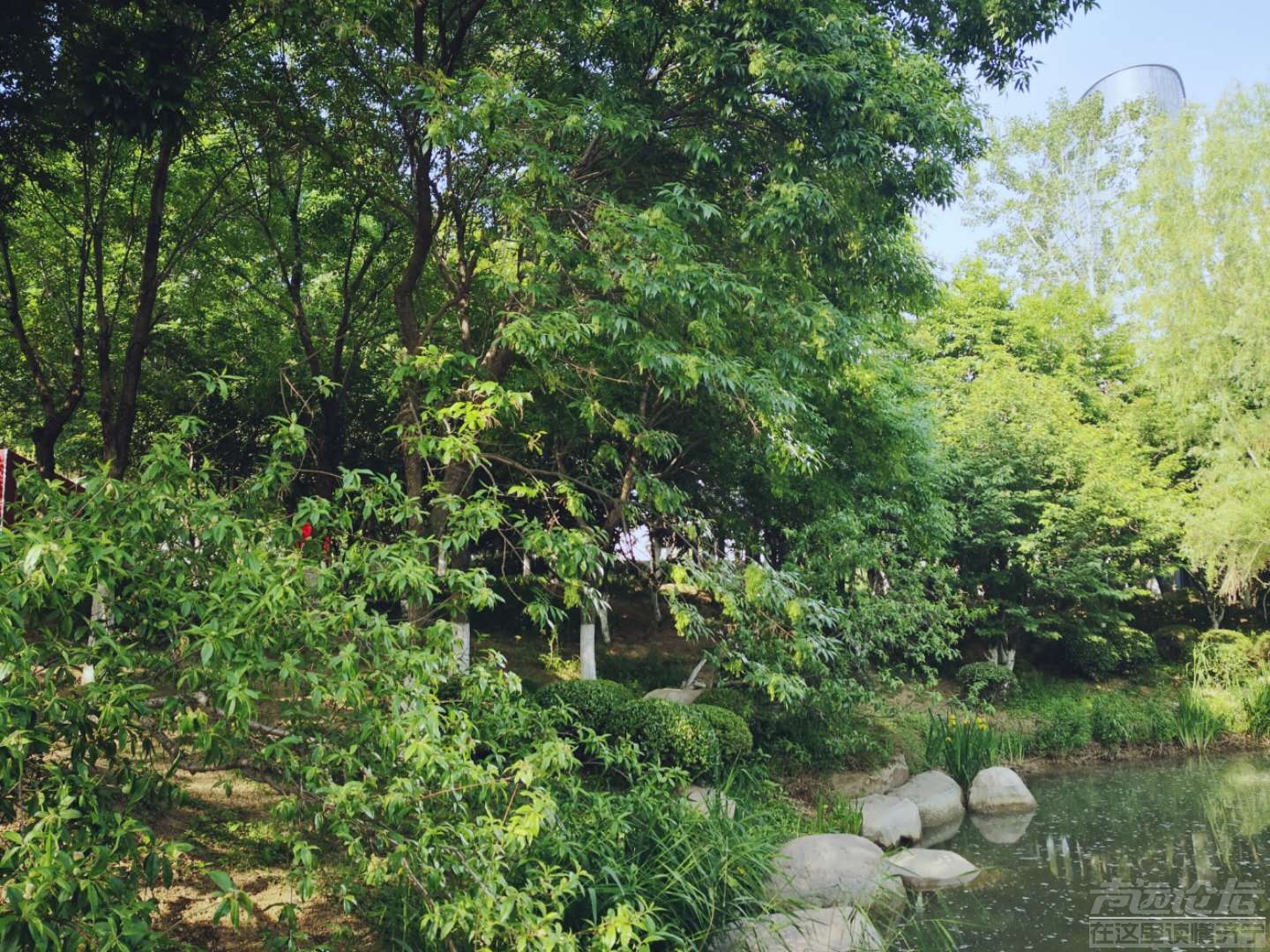 绿荫深驻，落花犹在