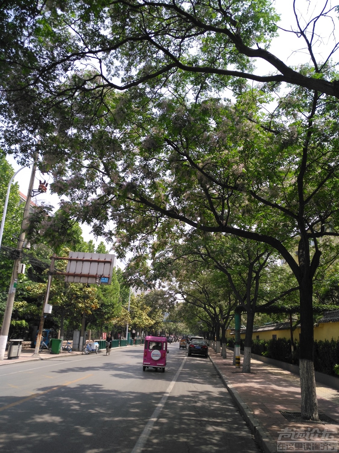 IMG_20190509_113719.jpg