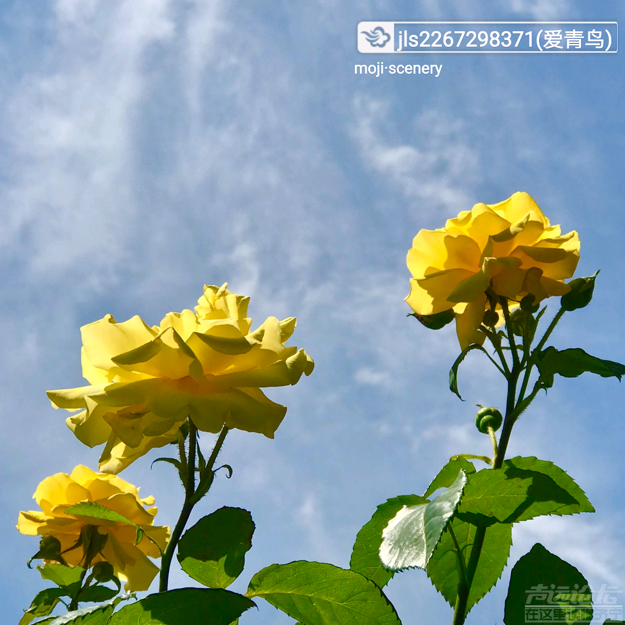 20190511_564876_1557554053118.png