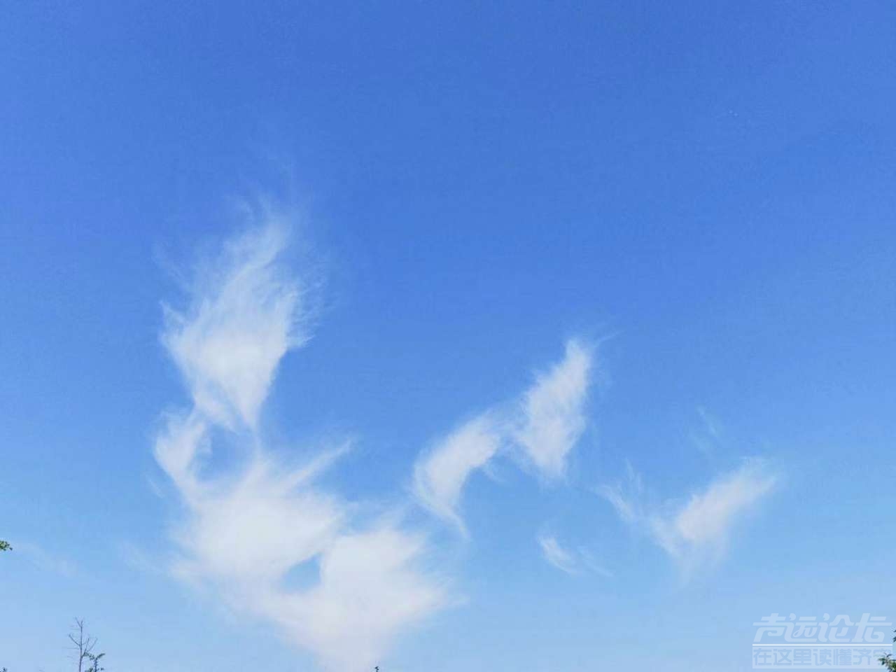 20190512_564876_1557658407347.jpg