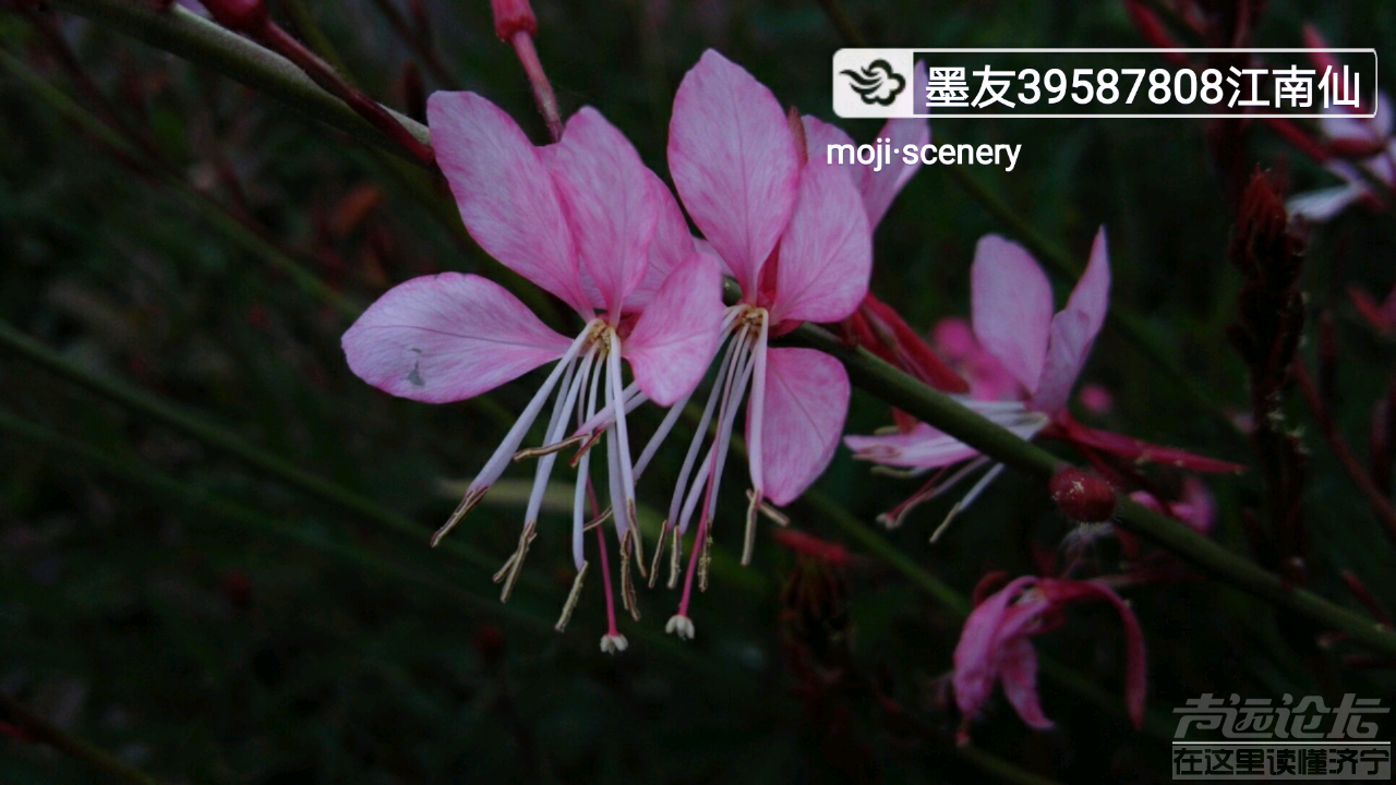 20190512_564876_1557658417881.png