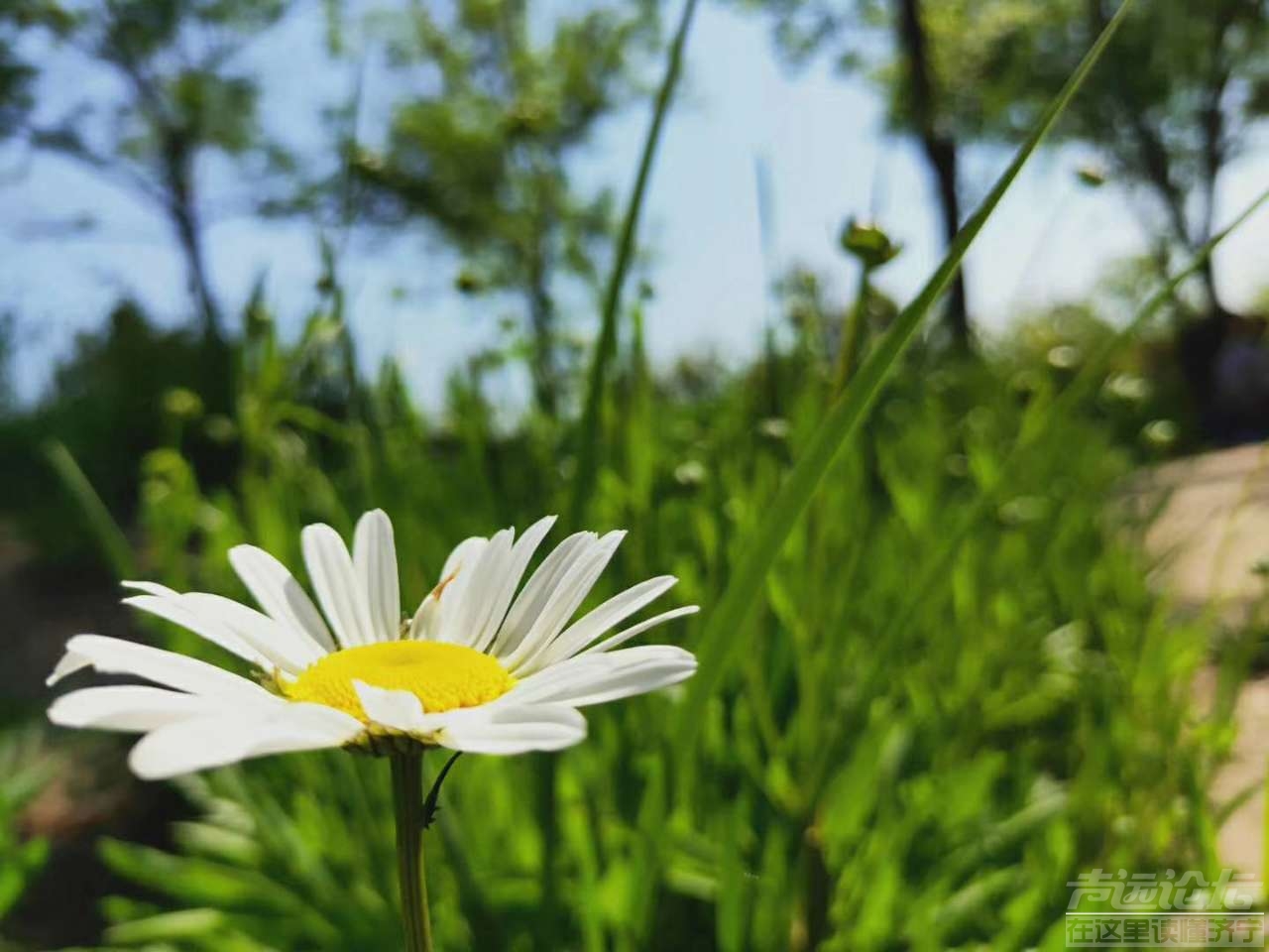 20190513_564876_1557707414102.jpg