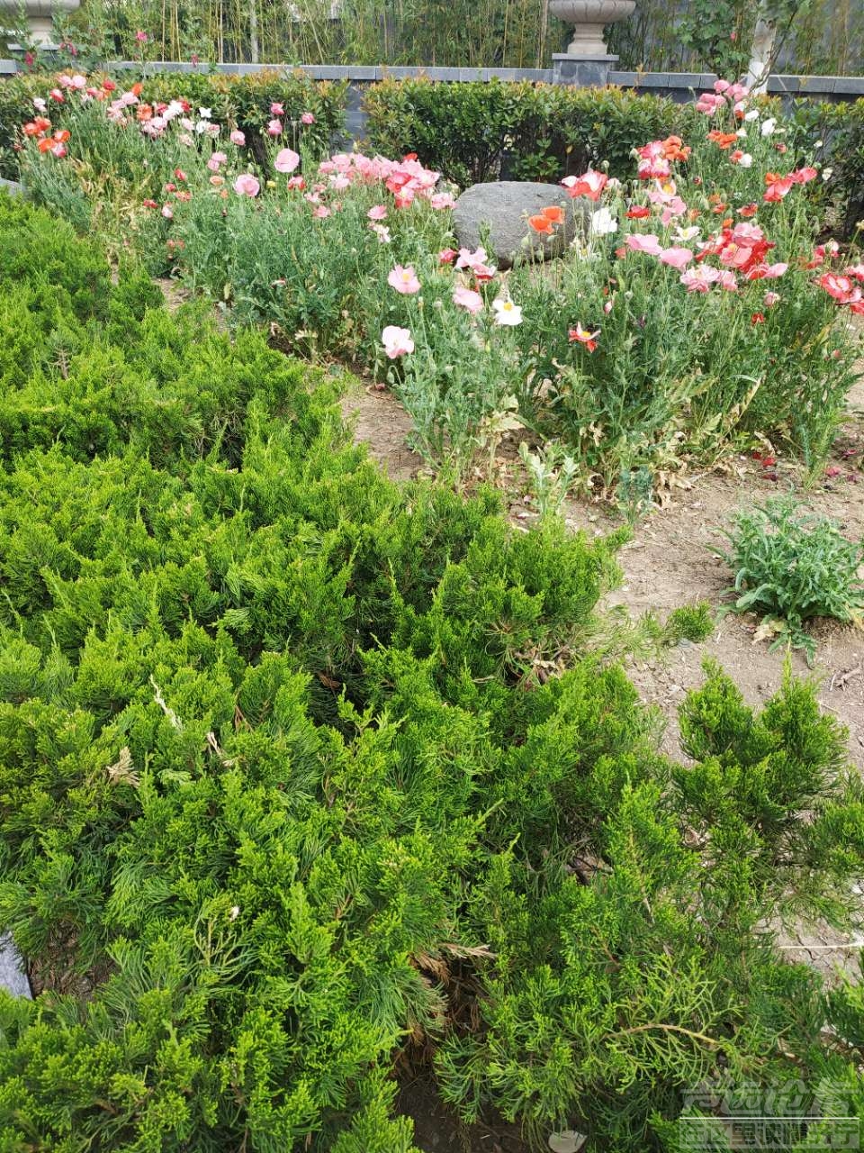 20190524_532335_1558657984366.jpg