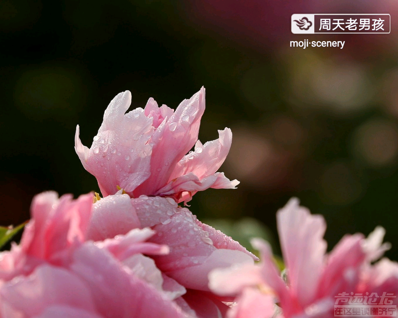 20190527_564876_1558913273963.png