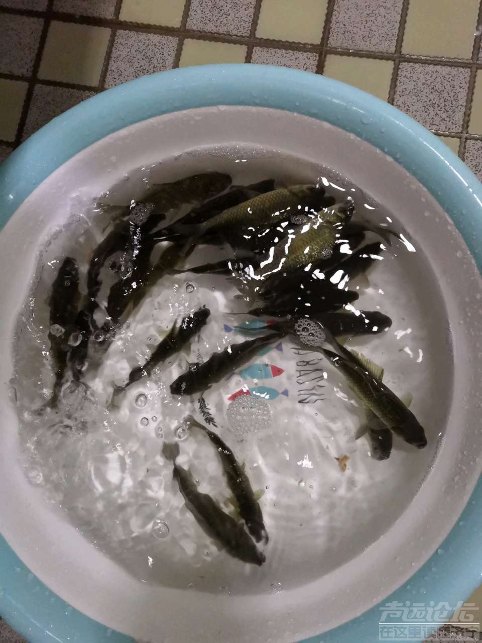20190602_35902_1559444240944.jpg
