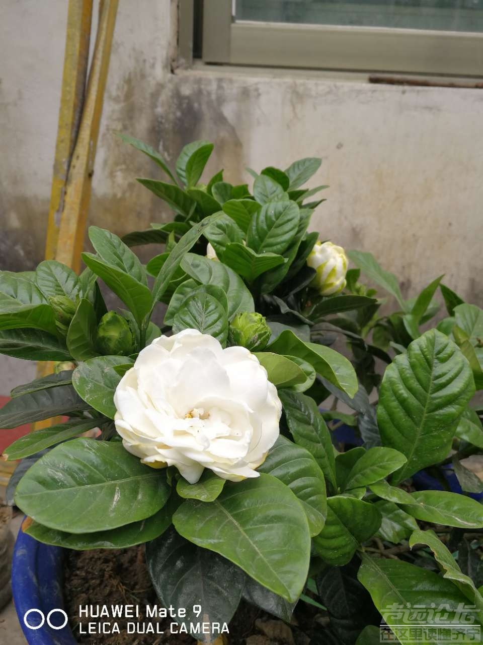 20190605_564876_1559694814971.jpg