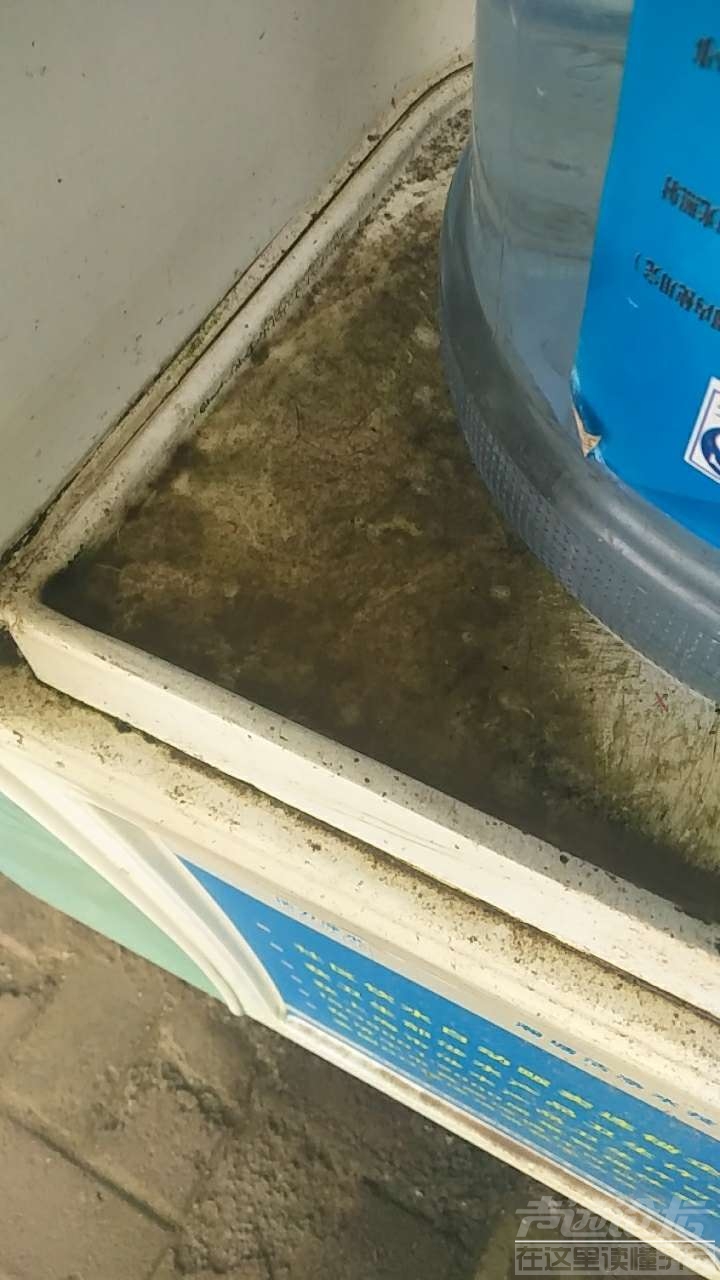 20190611_559562_1560231123448.jpg
