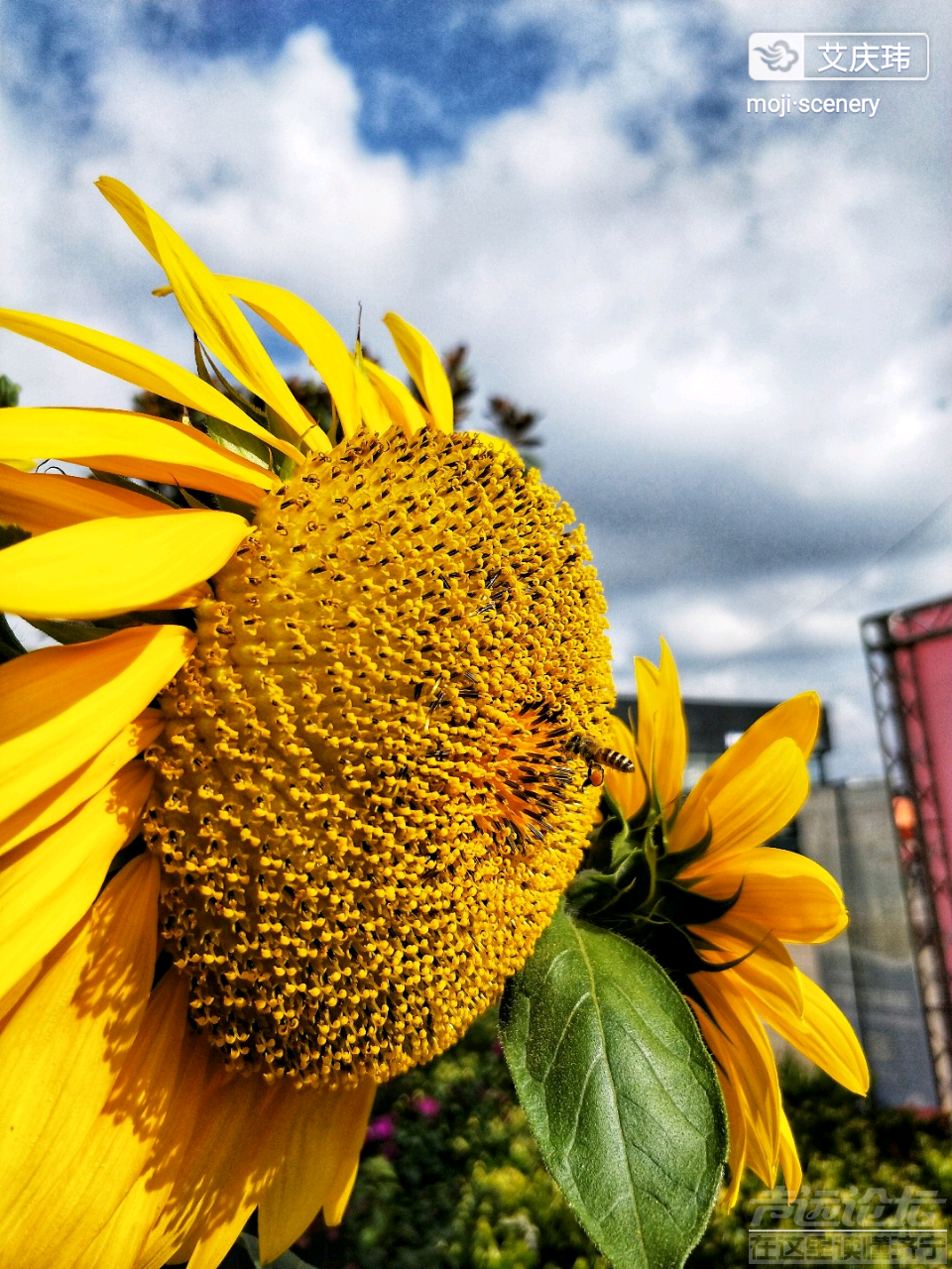 20190613_564876_1560395395801.png