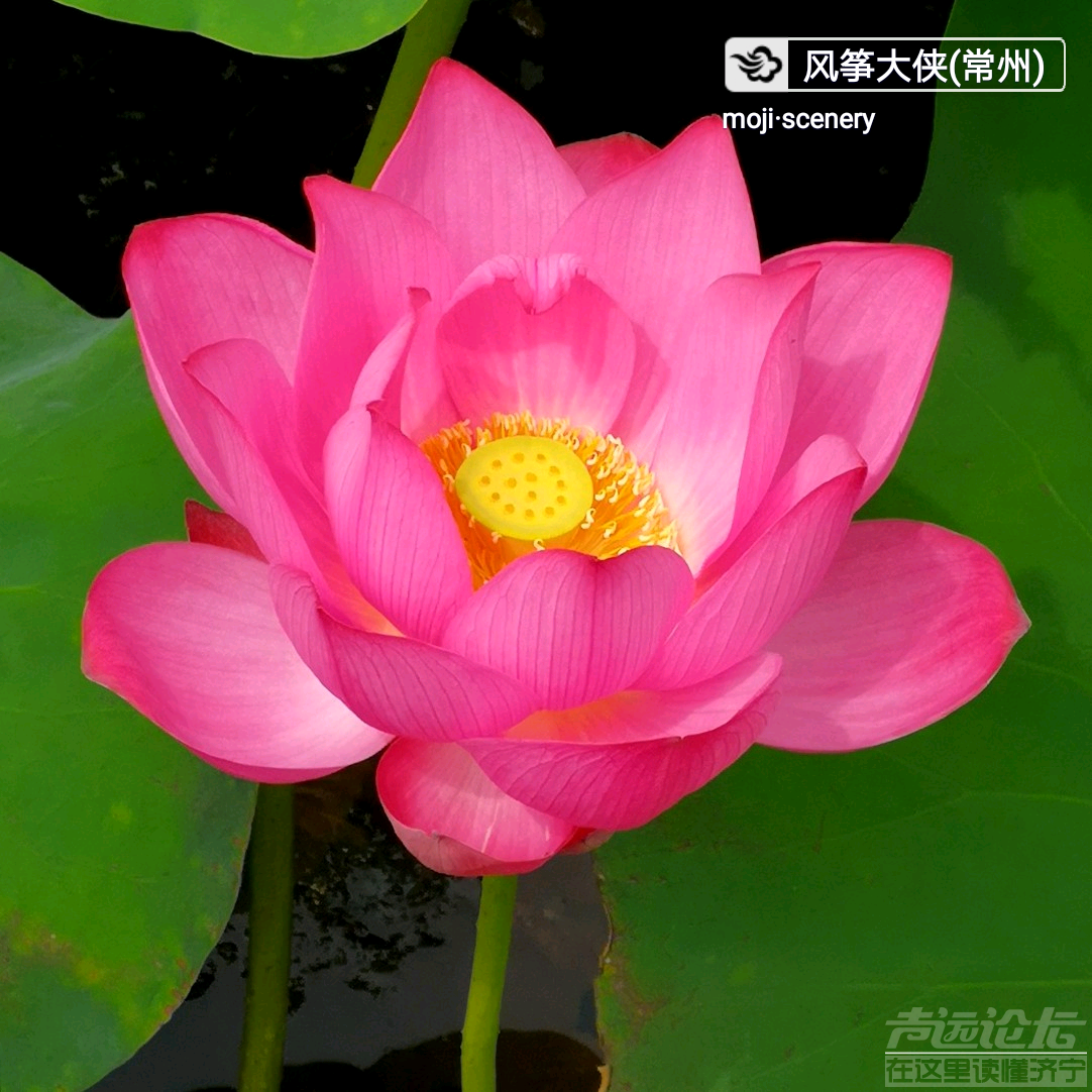 20190614_564876_1560477103659.png