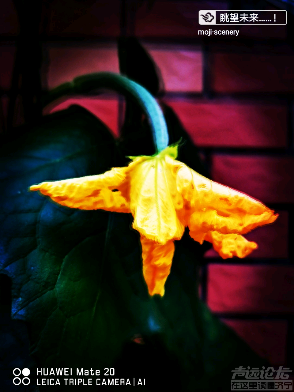 20190615_564876_1560563651905.png