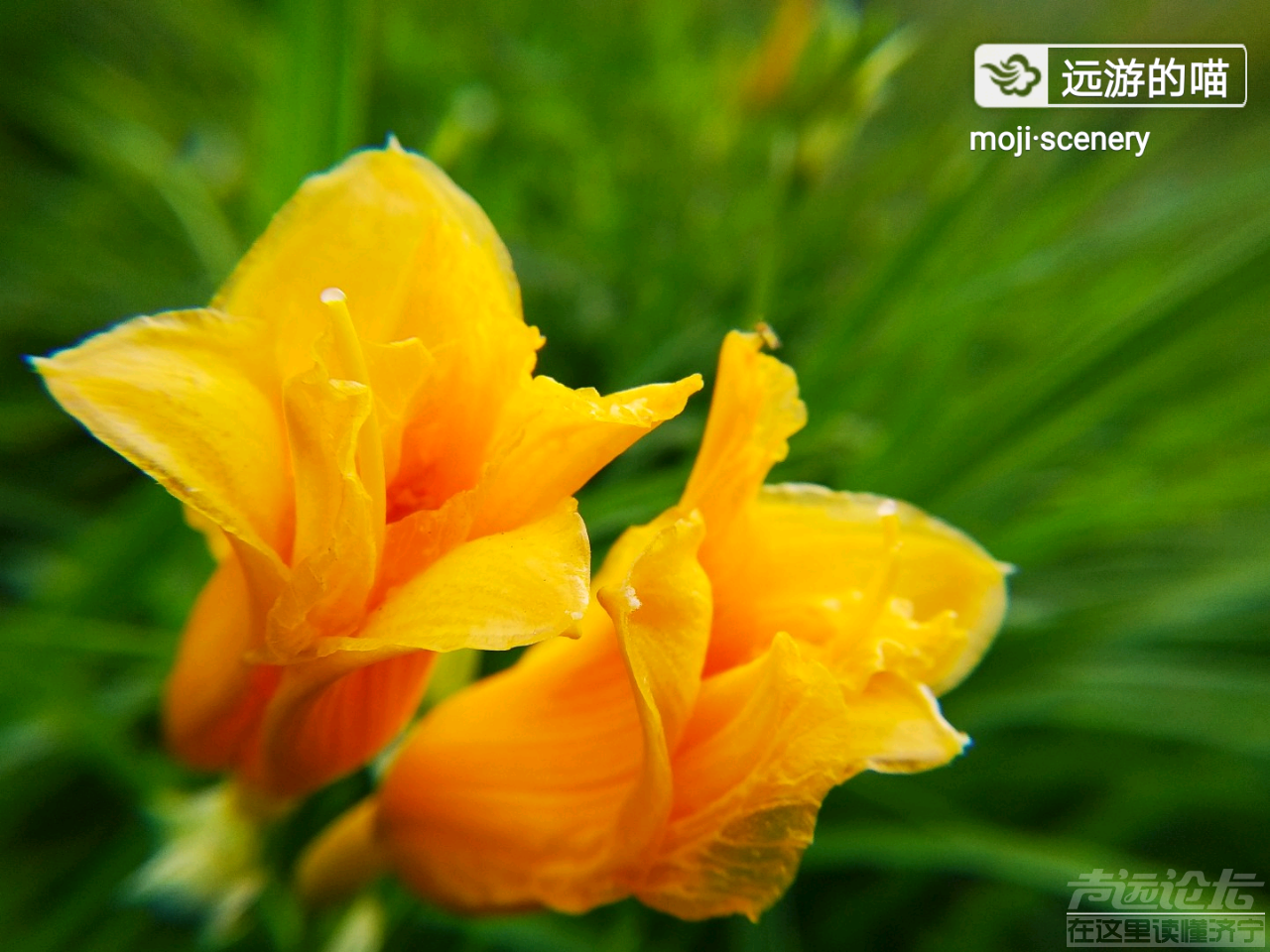 20190615_564876_1560563652438.png
