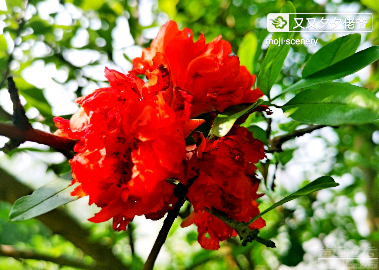 20190615_564876_1560563673910.png
