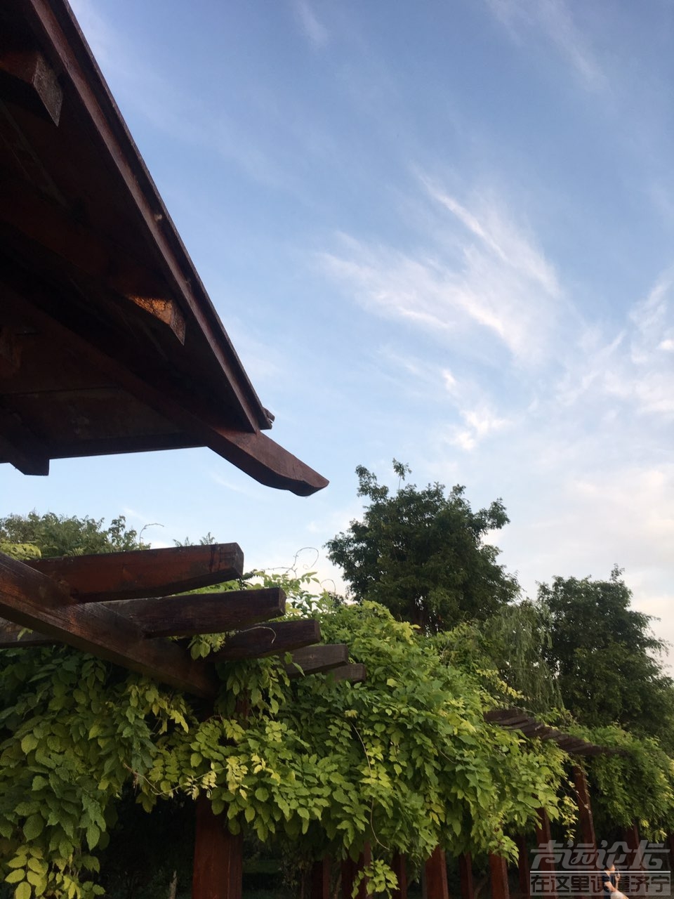 201906165820801560646837841963.jpg