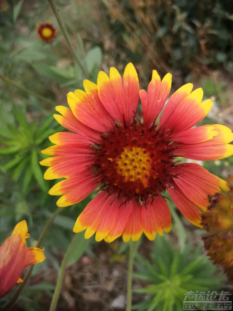 20190617_587361_1560765466724.jpg