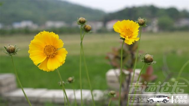 高颜值女神 高颜值女神五一自驾游撒欢记-4.jpg