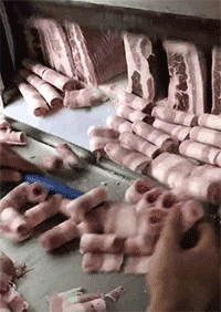 05d56a700761472d74091c399e3534bf.gif