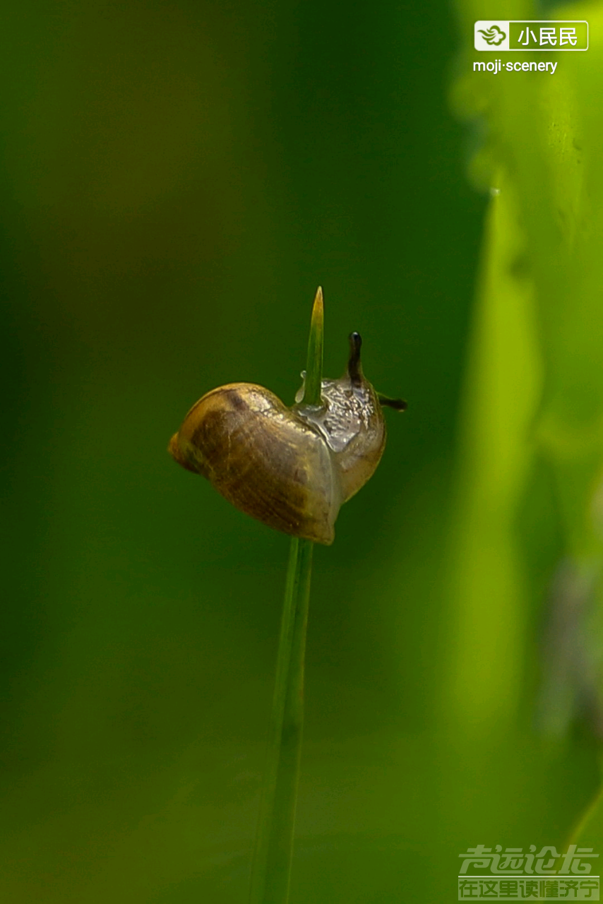 20190622_564876_1561168889354.png