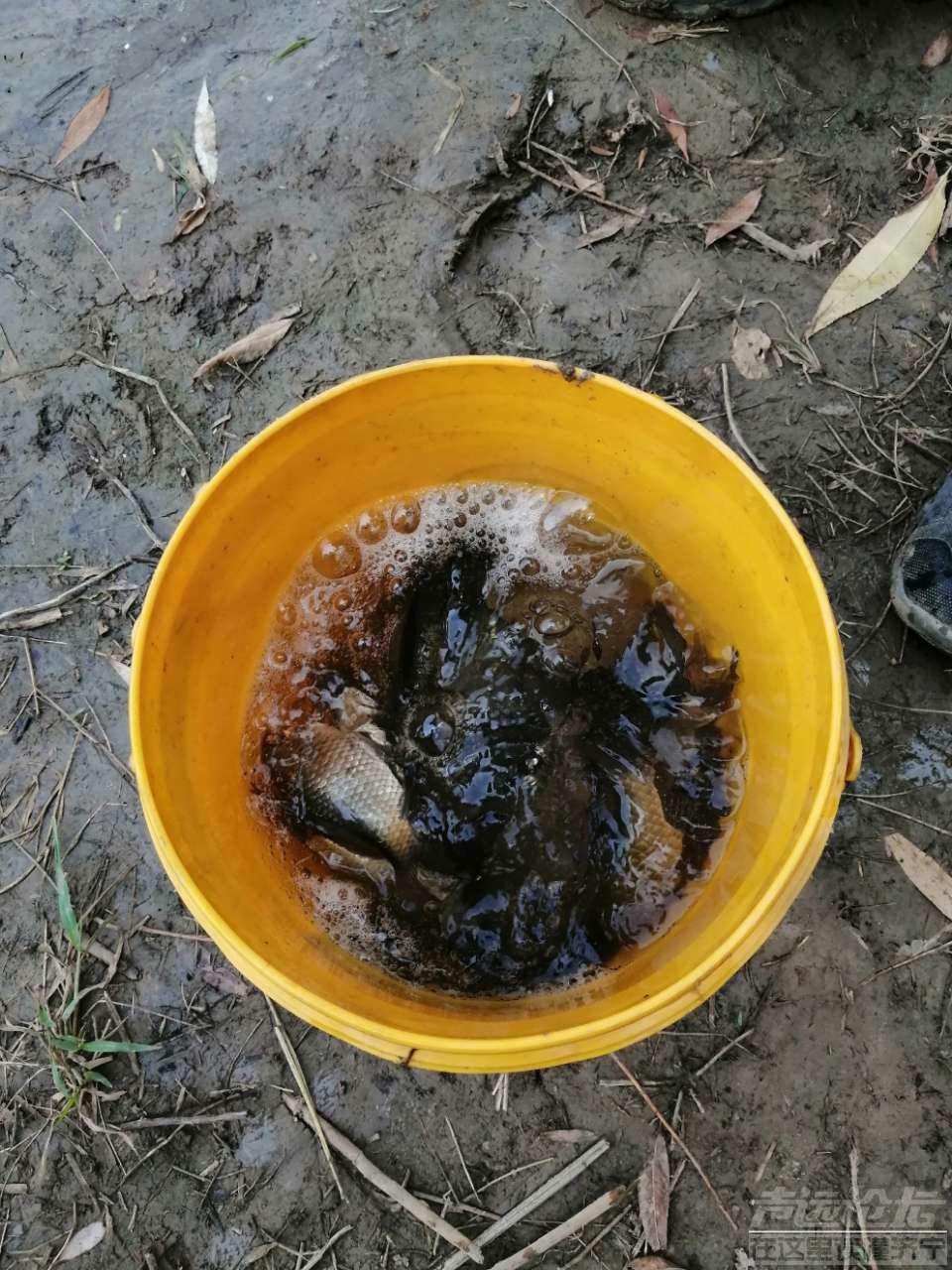 20190624_35902_1561384587213.jpg