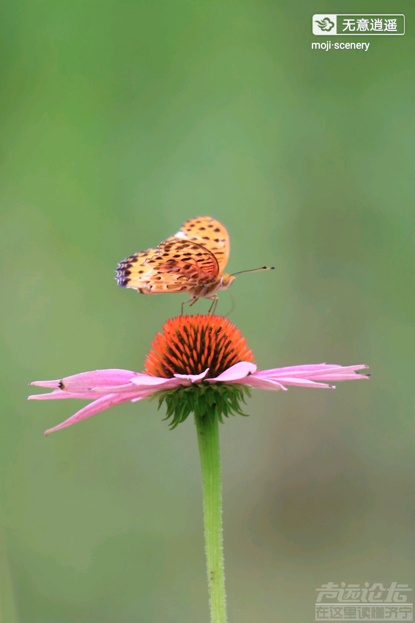 20190624_564876_1561386066092.png