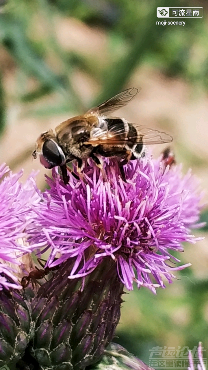20190624_564876_1561386085572.png