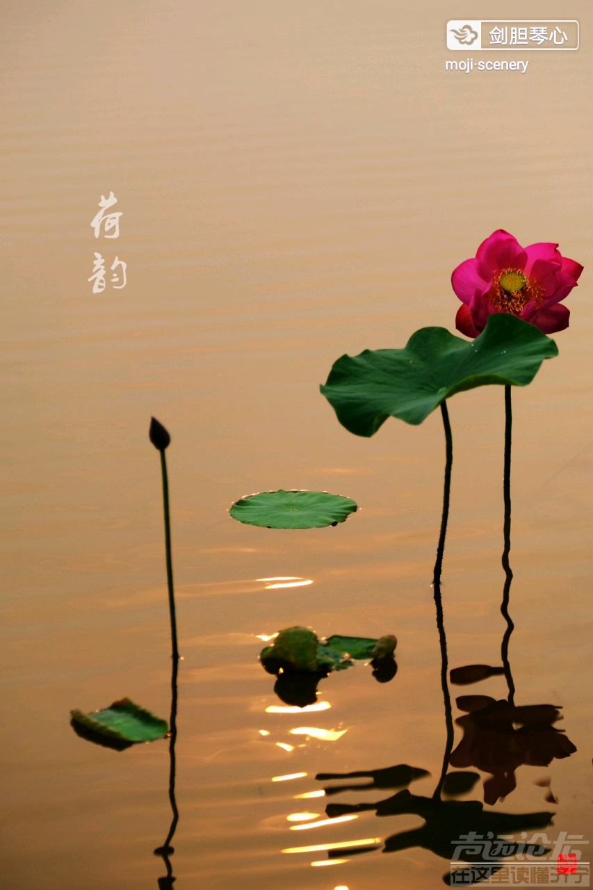 20190626_564876_1561509593977.png