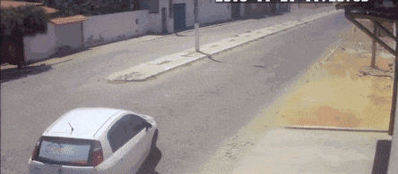 20190629_35902_1561767440815.gif