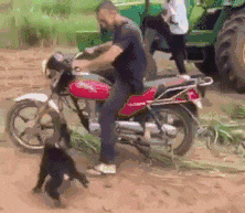 20190629_35902_1561767458631.gif