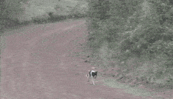 20190629_35902_1561767493235.gif