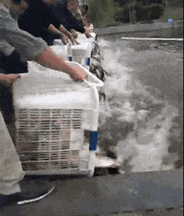 20190629_35902_1561767520491.gif