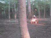 20190629_35902_1561767536078.gif