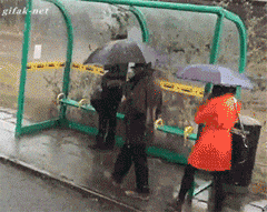 20190629_35902_1561767574687.gif