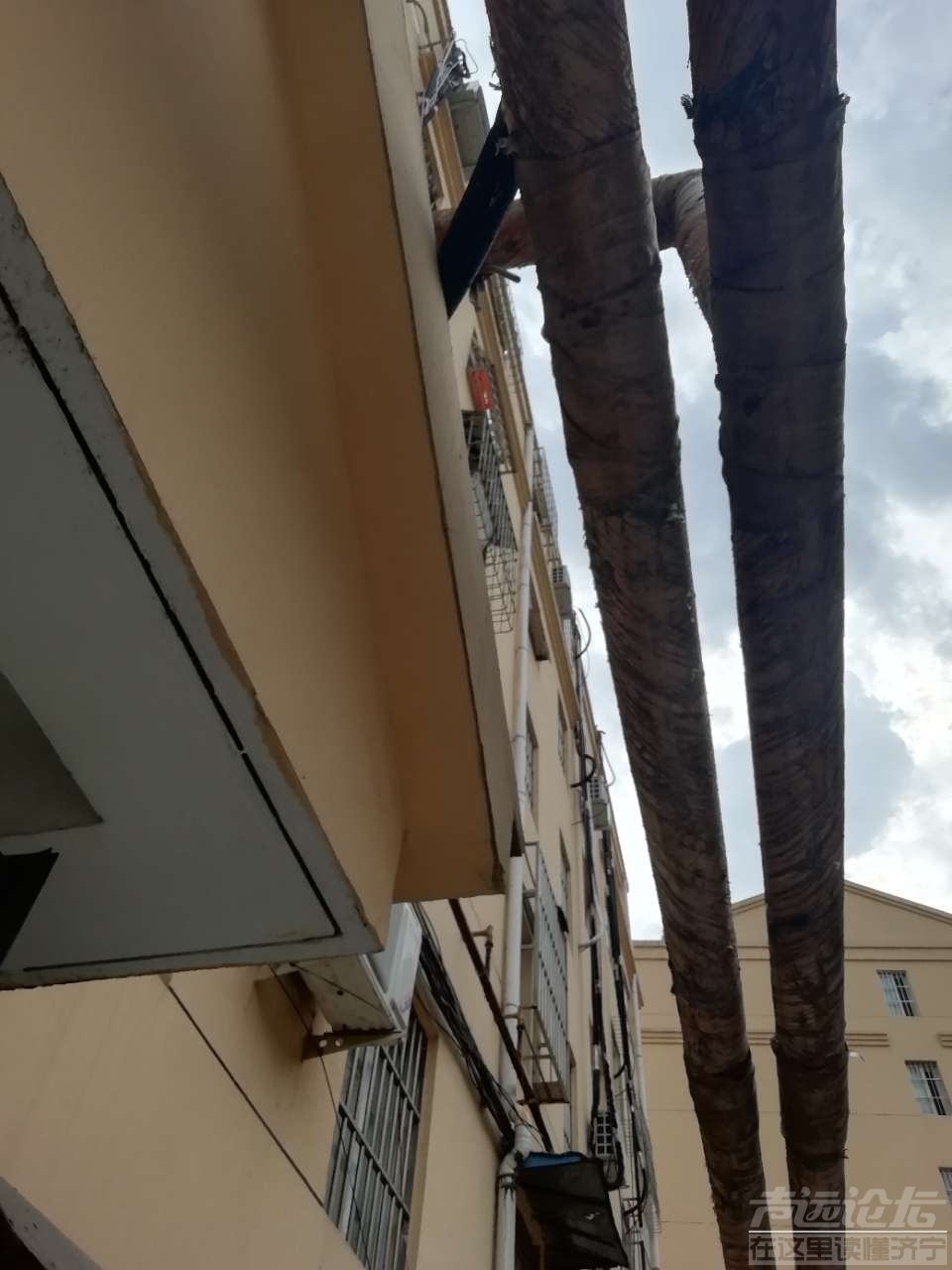 20190630_16765_1561880397589.jpg