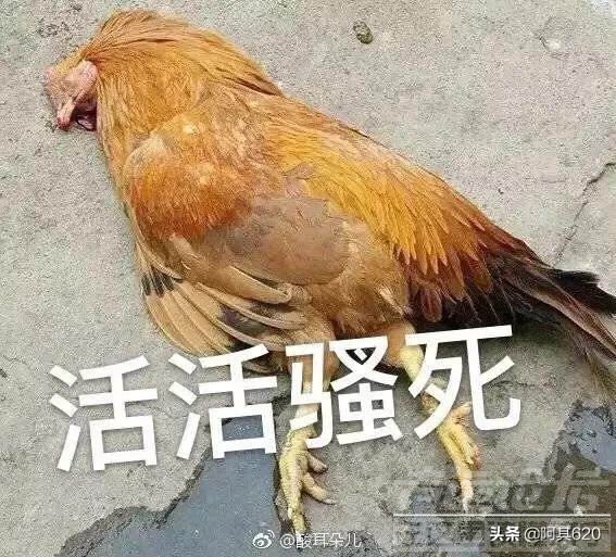 10ee49c66fb13bfc4d73ffbe6dd81518.jpg
