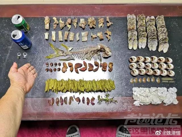 上海人实在太拼了！这个垃圾分类简直绝了！强迫症都想给五星好评-17.jpg