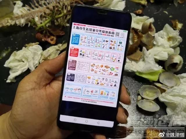 上海人实在太拼了！这个垃圾分类简直绝了！强迫症都想给五星好评-16.jpg