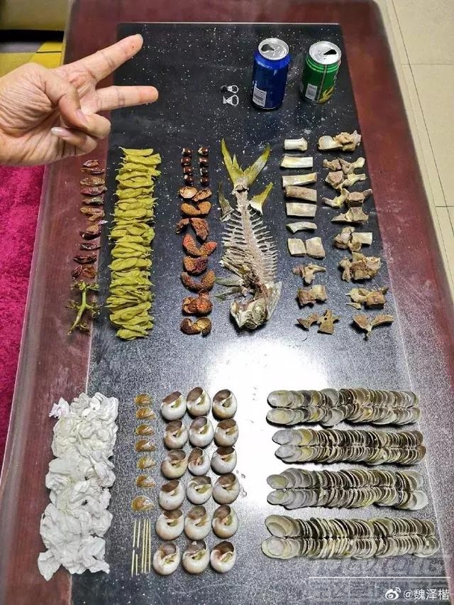 上海人实在太拼了！这个垃圾分类简直绝了！强迫症都想给五星好评-21.jpg