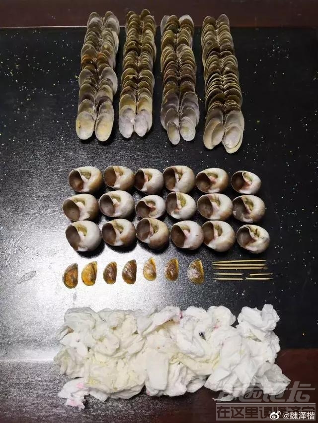 上海人实在太拼了！这个垃圾分类简直绝了！强迫症都想给五星好评-20.jpg