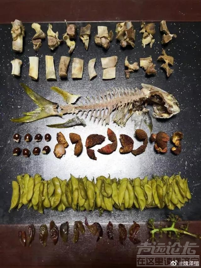 上海人实在太拼了！这个垃圾分类简直绝了！强迫症都想给五星好评-18.jpg