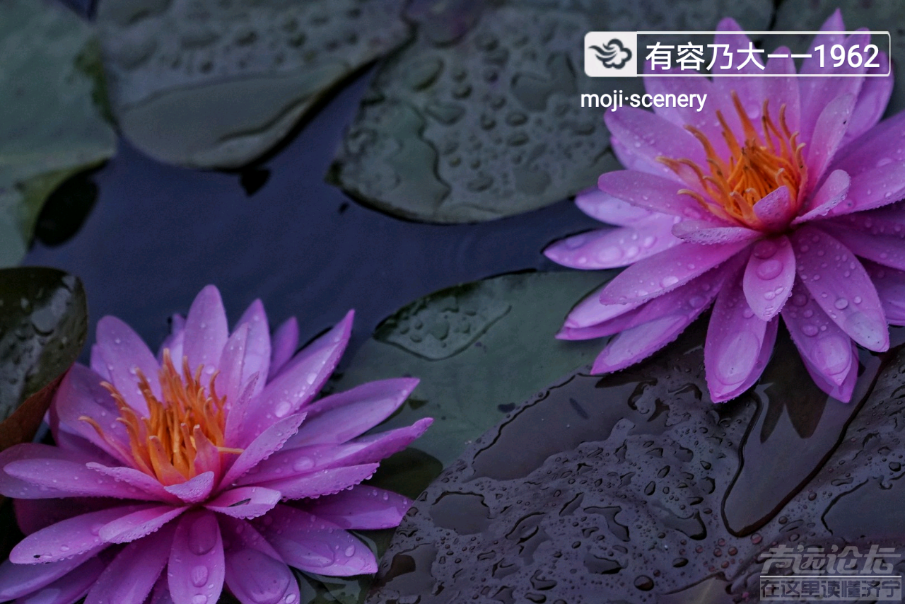 20190702_564876_1562032310225.png